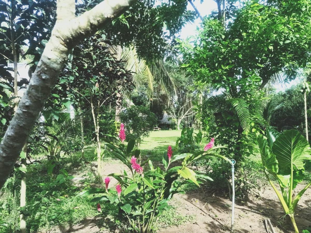 Happy Farm Tien Giang Homestay Mỹ Tho Extérieur photo